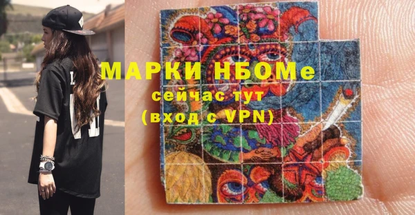индика Елабуга