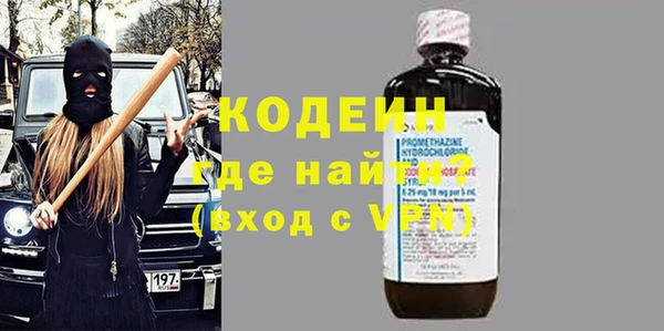 индика Елабуга