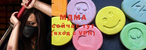 индика Елабуга