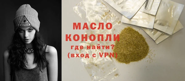индика Елабуга