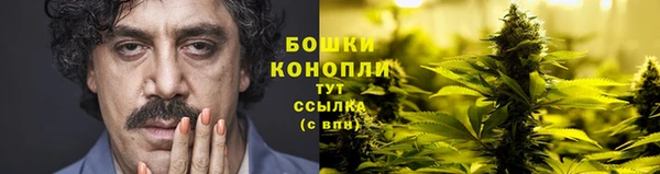 индика Елабуга