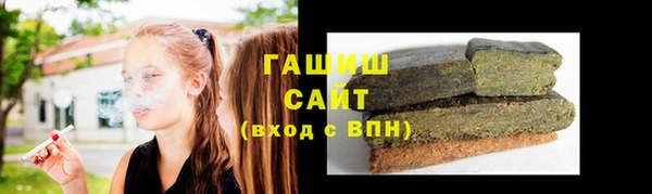 индика Елабуга