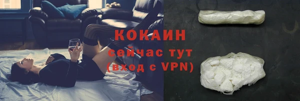 кокс Ельня