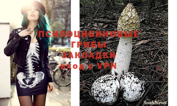 кокс Ельня