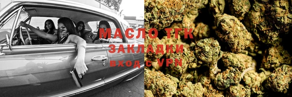 индика Елабуга