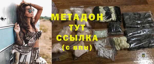 индика Елабуга