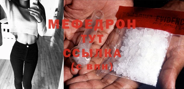индика Елабуга