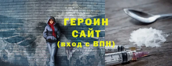 индика Елабуга