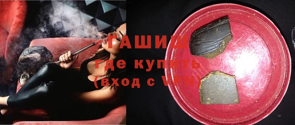 индика Елабуга