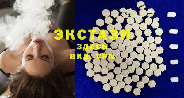 индика Елабуга