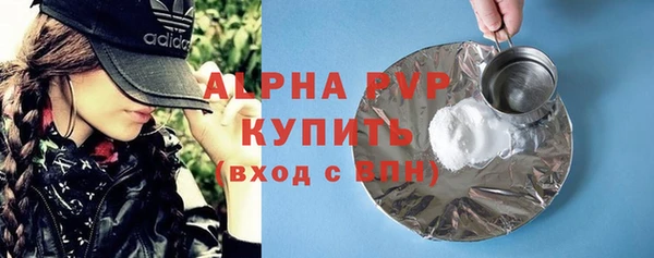 индика Елабуга