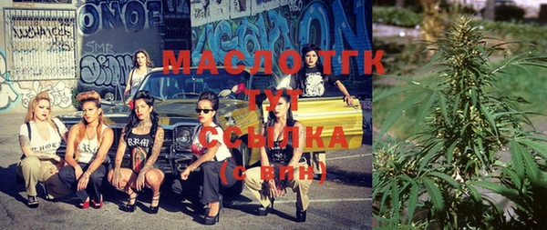 индика Елабуга