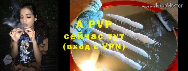 индика Елабуга