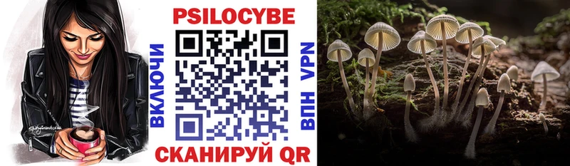 Купить где  Сковородино  Галлюциногенные грибы Magic Shrooms 